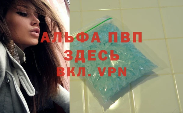 индика Алексин