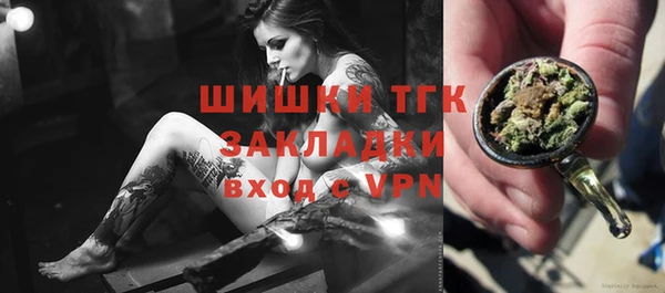 индика Алексин