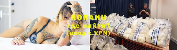индика Алексин