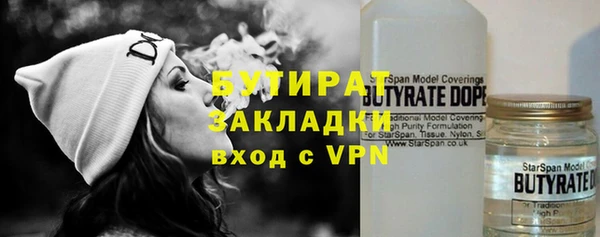 индика Алексин