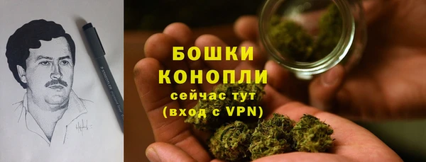 PSILOCYBIN Алексеевка