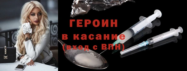 индика Алексин