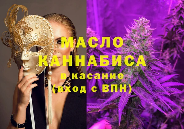 индика Алексин