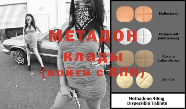 индика Алексин