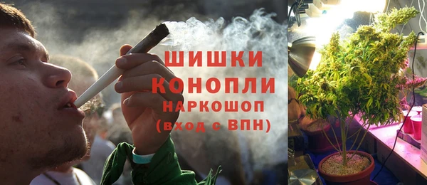 PSILOCYBIN Алексеевка