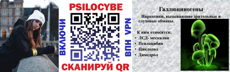 Псилоцибиновые грибы мицелий Аргун