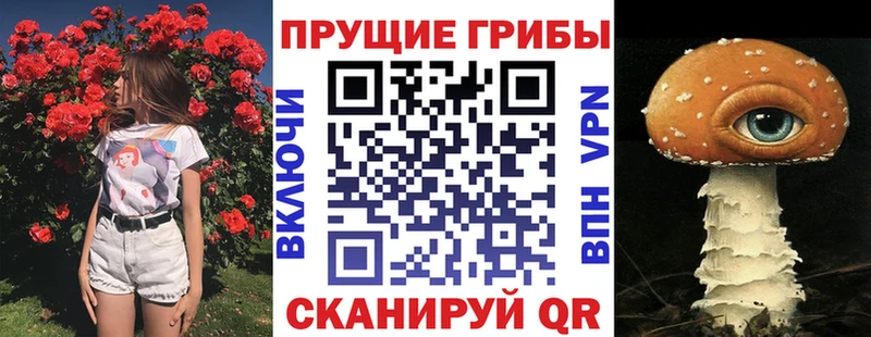 Галлюциногенные грибы прущие грибы  Аргун 